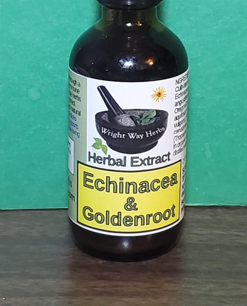 Echinacea Goldenroot Tincture