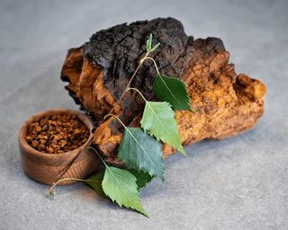 Chaga Mushroom Powder 45 grams Organic